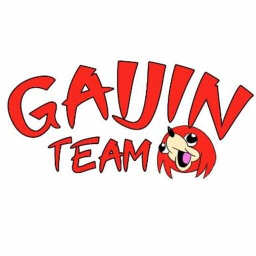 Photo représentant Gaijin Team